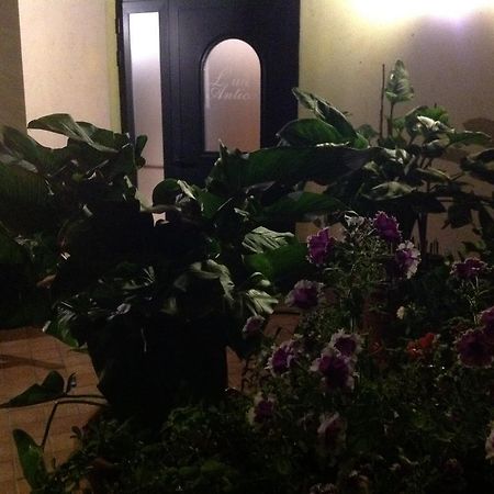 L' Aia Antica Bed & Breakfast Veroli Luaran gambar