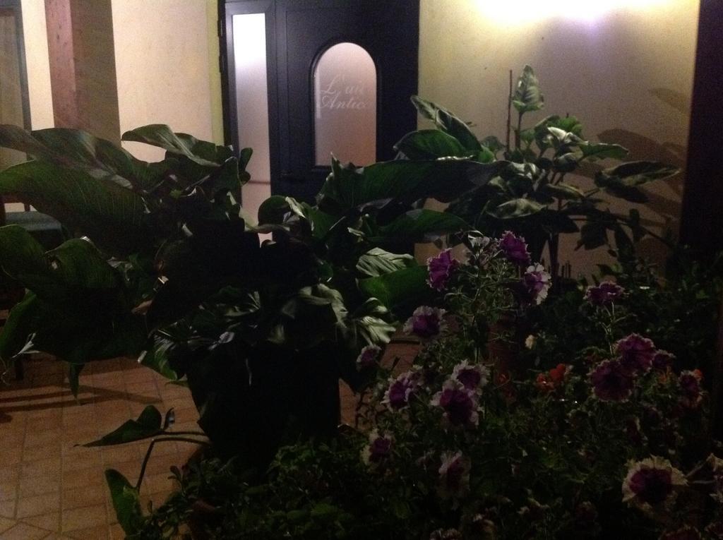 L' Aia Antica Bed & Breakfast Veroli Luaran gambar